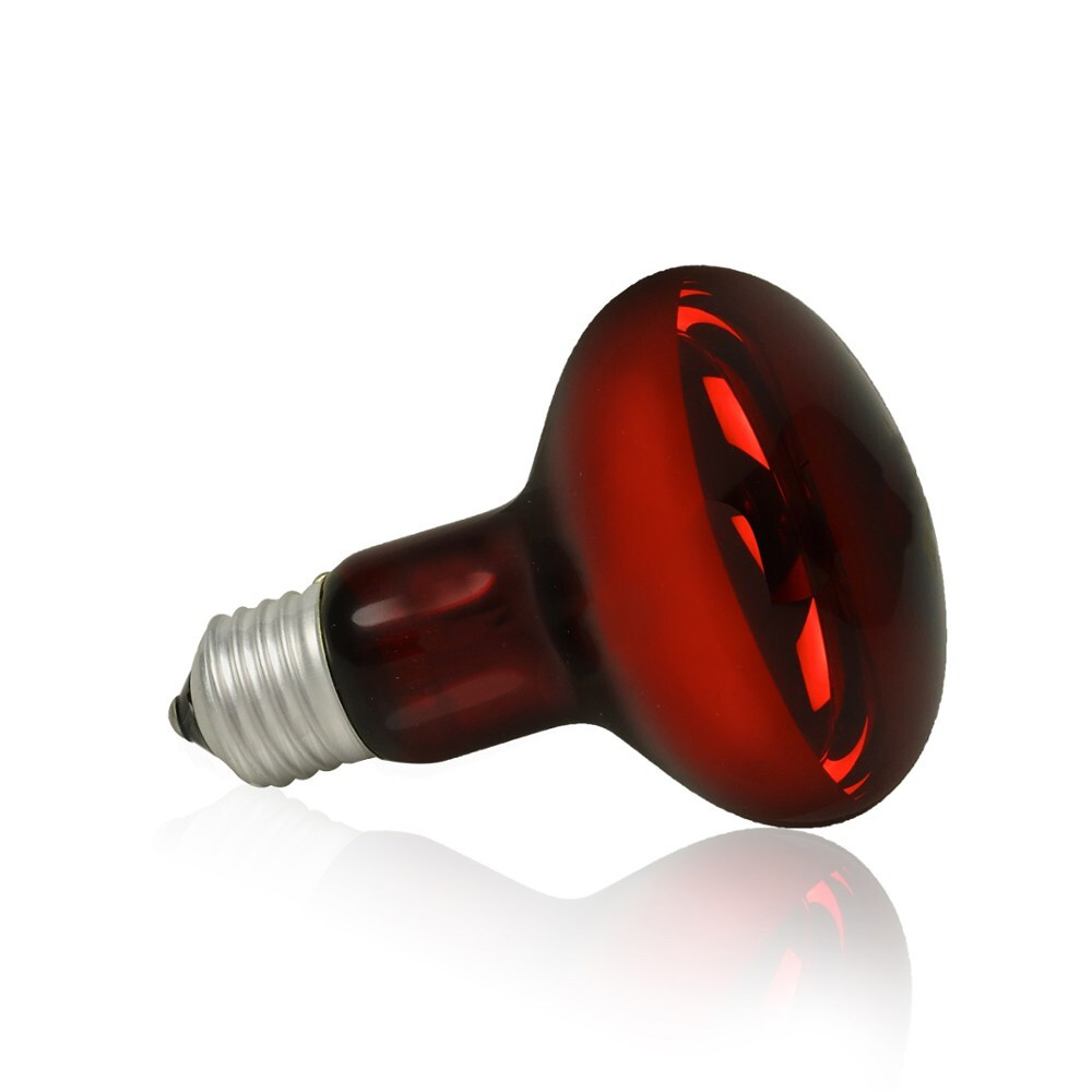 Żarówka nocna Night Heat Red 50W do terrarium dla gadów Happet Terra E27